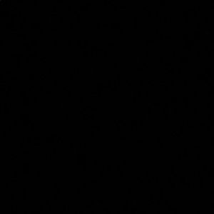 Meet your Posher, Griffin